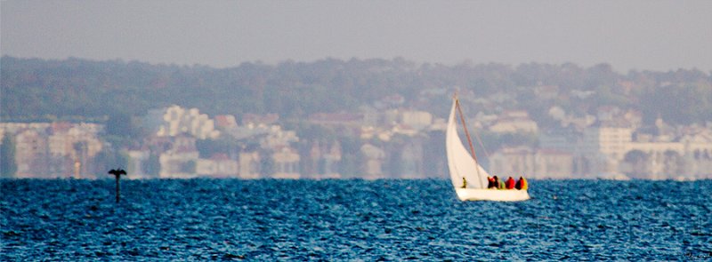 La Vive 02 - Mai 2011.jpg - La Vive - La chaleur provoque un trouble impressioniste sur le Bassin d'Arcachon - Mai 2011